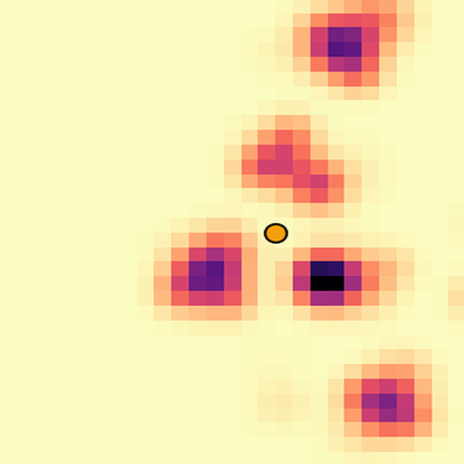 a learned Li field