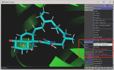 Copying Ligand to the Protein File